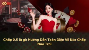 Chấp 0.5 là gì: Hướng Dẫn Toàn Diện Về Kèo Chấp Nửa Trái