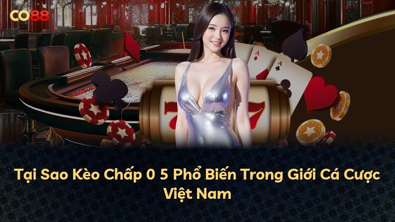 Tại Sao Kèo Chấp 0 5 Phổ Biến Trong Giới Cá Cược Việt Nam