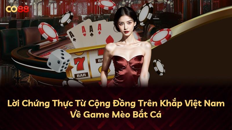 Lời Chứng Thực Từ Cộng Đồng Trên Khắp Việt Nam Về Game Mèo Bắt Cá