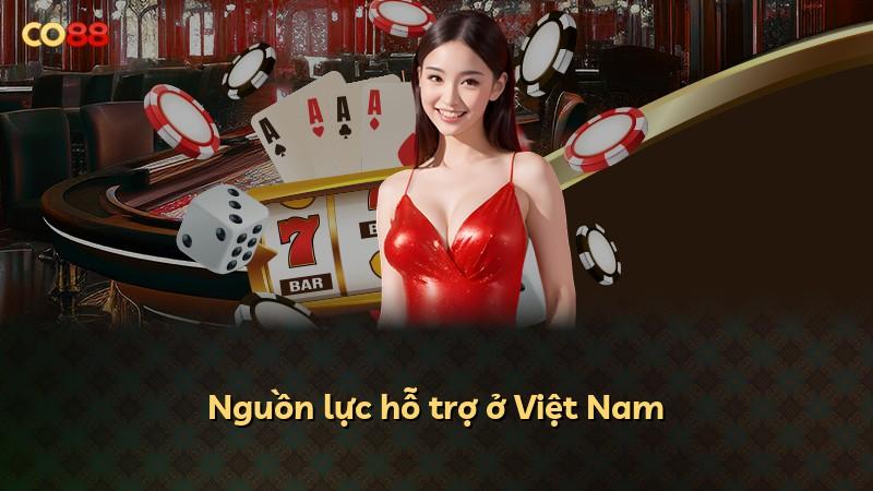 Nguồn lực hỗ trợ ở Việt Nam