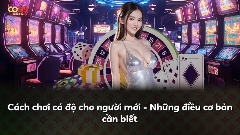 Cách chơi cá độ cho người mới - Những điều cơ bản cần biết