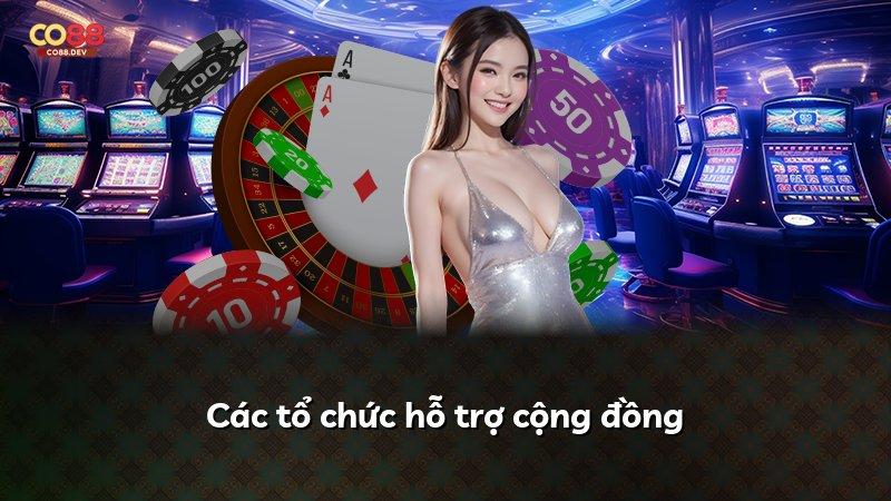 Các tổ chức hỗ trợ cộng đồng