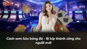 Cách xem kèo bóng đá – Bí kíp thành công cho người mới