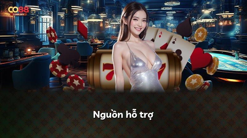 Nguồn hỗ trợ