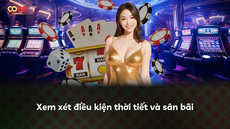 Xem xét điều kiện thời tiết và sân bãi